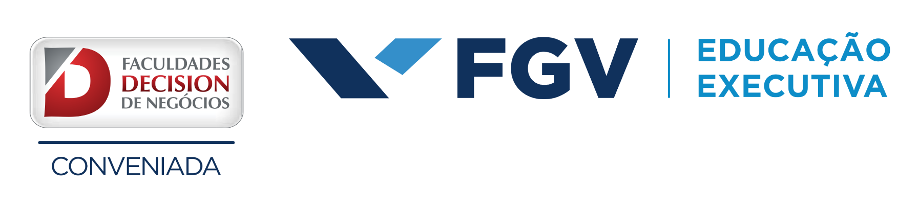 LOGO-DECISION-FGV.ai